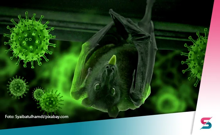 Berita Banten, Berita Banten Terbaru, Berita Banten Hari Ini, Berita Serang, Berita Serang Terbaru, Berita Serang Hari Ini, Berita virus nipah di Indonesia, Berita pandemi baru: Para Ahli Khawatir Virus Nipah Jadi Pendemi Baru