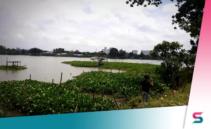 Berita Banten, Berita Banten Terbaru, Berita Banten Hari Ini, Berita Serang, Berita Serang Terbaru, Berita Serang Hari Ini, Berita Situ Kelapa Dua: Situ Kelapa Dua yang Menyempit Itu Aset Pemprov Banten