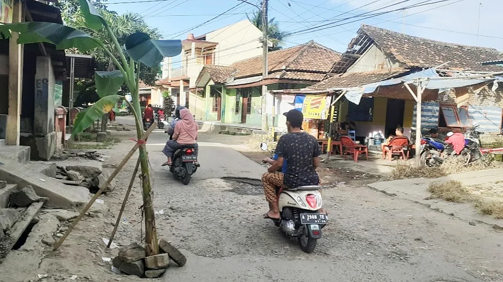 Meminta Diperbaiki, Warga Cibeber Tanam Pohon Pisang di Jalan Rusak