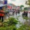Berita Banten, Berita Banten Terbaru, Berita Banten Hari Ini, Berita Serang, Berita Serang Terbaru, Berita Serang Hari Ini: Hujan Deras dan Angin Kencang Tumbangkan Pohon di Kota Serang