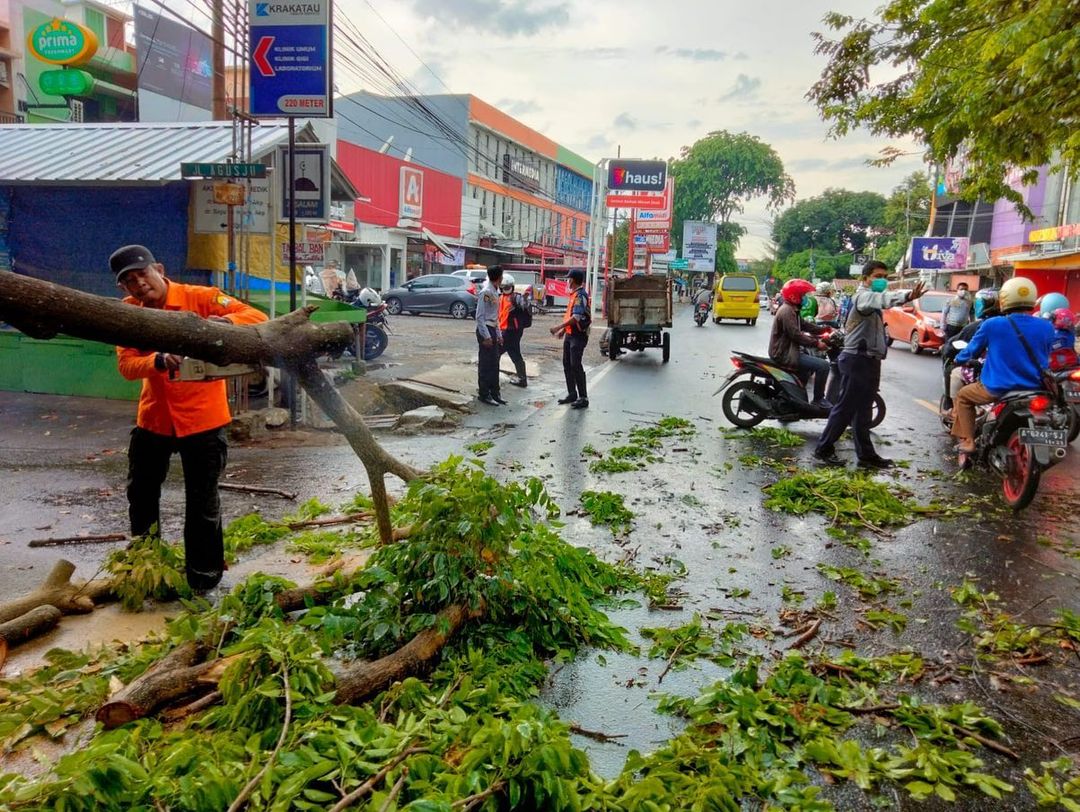 Berita Banten, Berita Banten Terbaru, Berita Banten Hari Ini, Berita Serang, Berita Serang Terbaru, Berita Serang Hari Ini: Hujan Deras dan Angin Kencang Tumbangkan Pohon di Kota Serang