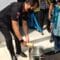 Berita Banten, Berita Banten Terbaru, Berita Banten Hari Ini, Berita Serang, Berita Serang Terbaru, Berita Serang Hari Ini: BNNP Banten Musnahkan 500 Gram Sabu yang Diselundupkan lewat Bandara Soetta
