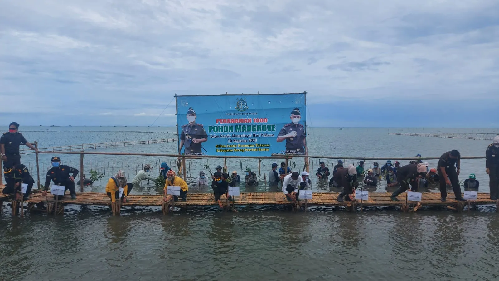 Berita Banten, Berita Banten Terbaru, Berita Banten Hari Ini, Berita Serang, Berita Serang Terbaru, Berita Serang Hari Ini: Peringati Hari Pahlawan, Kejati Tanam Mangrove di Pesisir Utara Banten