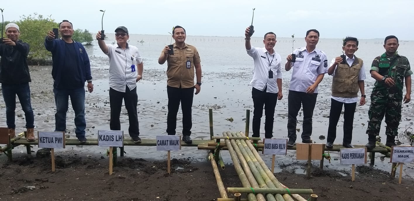 Rangkaian HPN, PWI Kabupaten Tangerang Tanam 1.000 Mangrove
