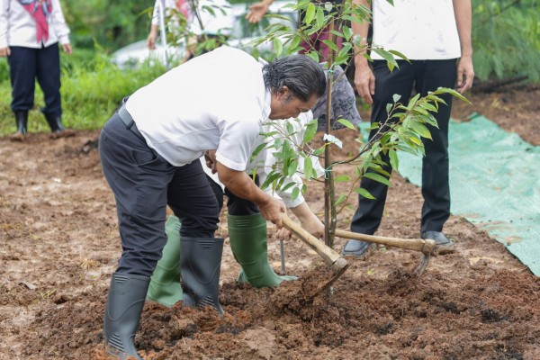 Gerakan Tanam 1.000 Pohon, Pj Gubernur Banten Al Muktabar Pilih Durian Lokal