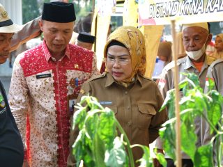 Capai Swasembada Pangan, Bupati Serang Dorong Ekspor Hasil Pertanian