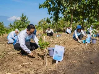 Pelita Air Bersama Pertamina Tanam 10 Ribu Pohon di Jawa Timur