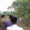Wapres Gibran Tinjau Kawasan Banjir di Tangerang, Pemkot Janjikan Solusi