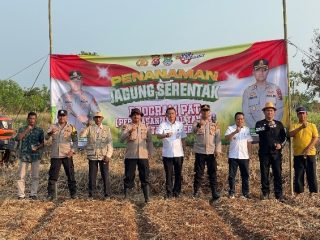 Saat Samapta dan Jatanras Polresta Tangerang 'Sulap' Padang Ilalang Jadi Lahan Siap Tanam