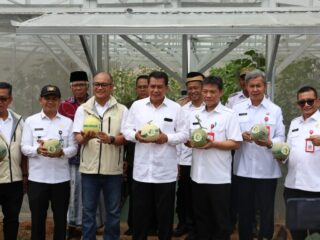 Bupati Maesyal Rasyid Resmikan Greenhouse dan Panen Perdana Melon di Desa Sodong