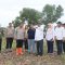 DPKP Kabupaten Tangerang Klarifikasi Kondisi Lahan Ketahanan Pangan di Bantar Panjang