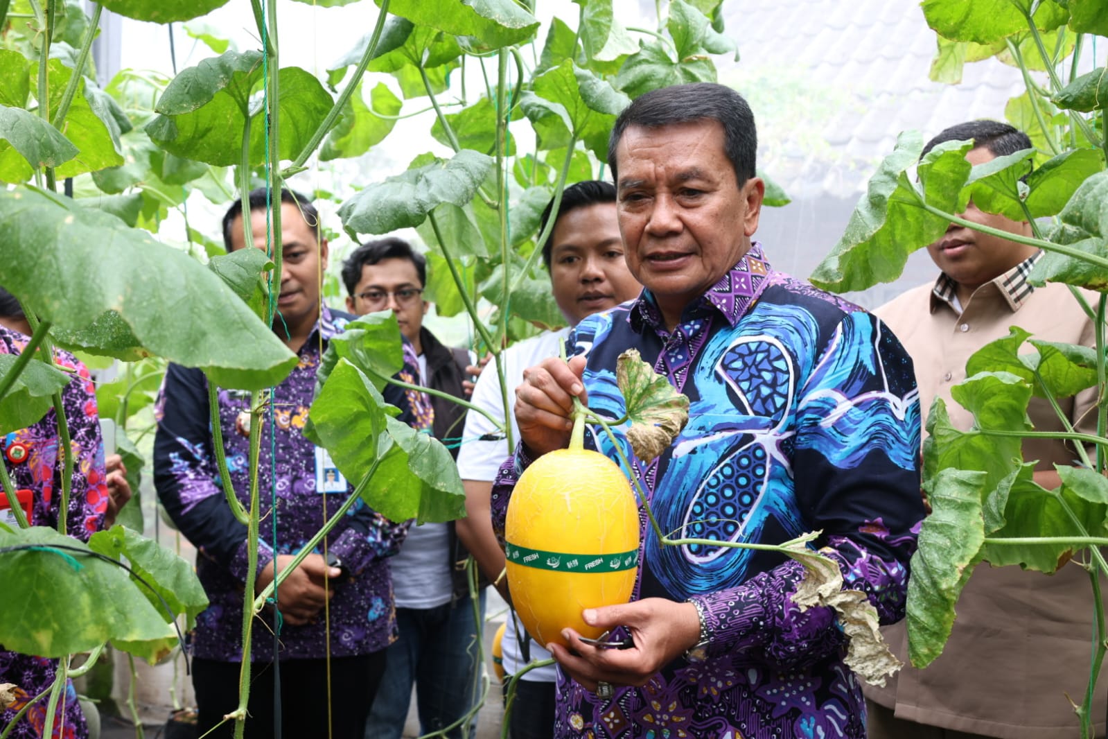 Panen Melon Hidroponik di Curug Wetan, Bupati Tangerang Dorong Pertanian Modern Berbasis Teknologi