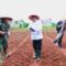 Bupati Tangerang Moch Maesyal Rasyid Pimpin Penanaman Jagung Hibrida Serentak di Panongan