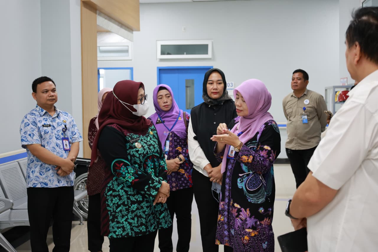 Wabup Intan Tinjau RS Insan Nusantara, Dorong Layanan BPJS Segera Dibuka