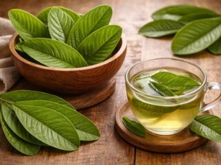 Jangan Remehkan! Ini 5 Khasiat Daun Jambu Biji yang Jarang Diketahui
