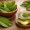 Jangan Remehkan! Ini 5 Khasiat Daun Jambu Biji yang Jarang Diketahui