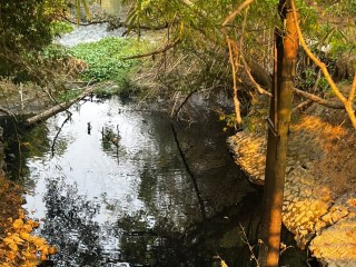 Sungai Cimanceri Hitam Pekat, Diduga Tercemar Limbah Industri
