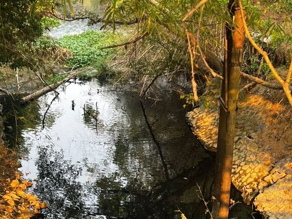 Sungai Cimanceri Hitam Pekat, Diduga Tercemar Limbah Industri