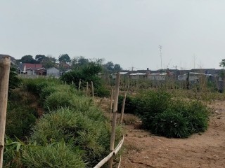 Target Rampung Pertengahan 2026, Begini Kondisi Terkini Proyek Hutan Bambu Rp1,8 Miliar di Cisoka